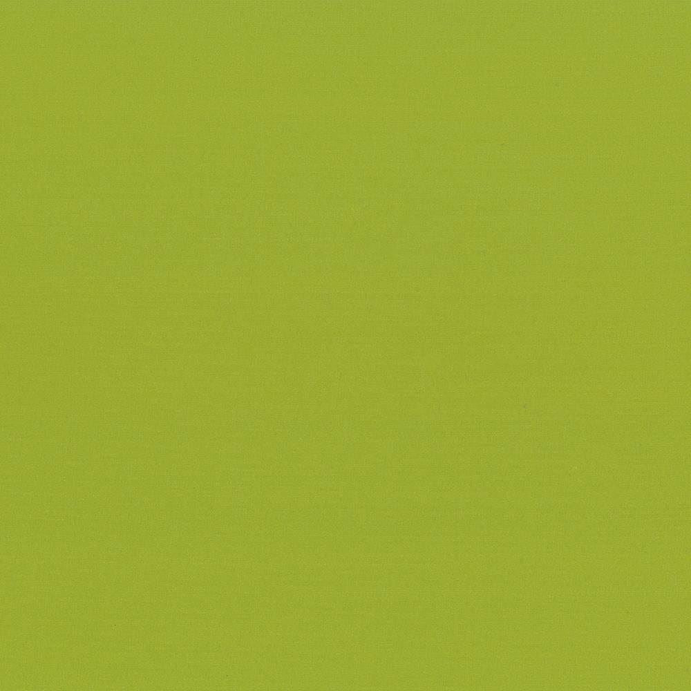 Seductive Lime by Kasmir Fabric 5052 100% Polyester
 INDIA 6,000 Wyzenbeek Double Rubs Horizontal: N/A and Vertical: N/A 53 - Fabric Carolina -