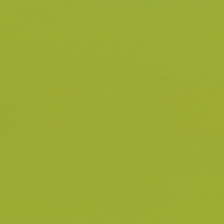 Seductive Lime by Kasmir Fabric 5052 100% Polyester
 INDIA </p><p>Repeat: Horizontal: N/A and Vertical: N/A 53 - Fabric Carolina -