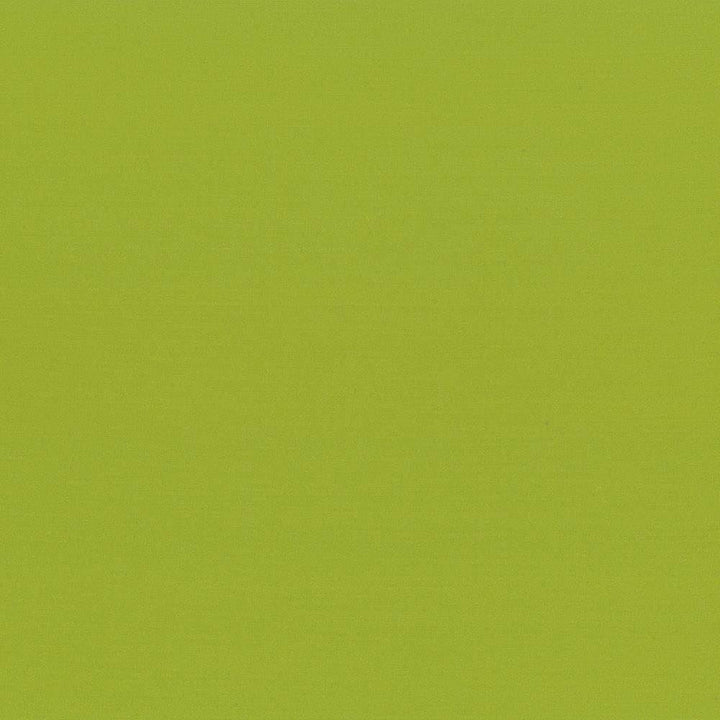 Seductive Lime by Kasmir Fabric 5052 100% Polyester INDIA 6,000 Wyzenbeek Double Rubs Horizontal: 0 Inches and Vertical: 0 Inches 53 - Fabric Carolina -