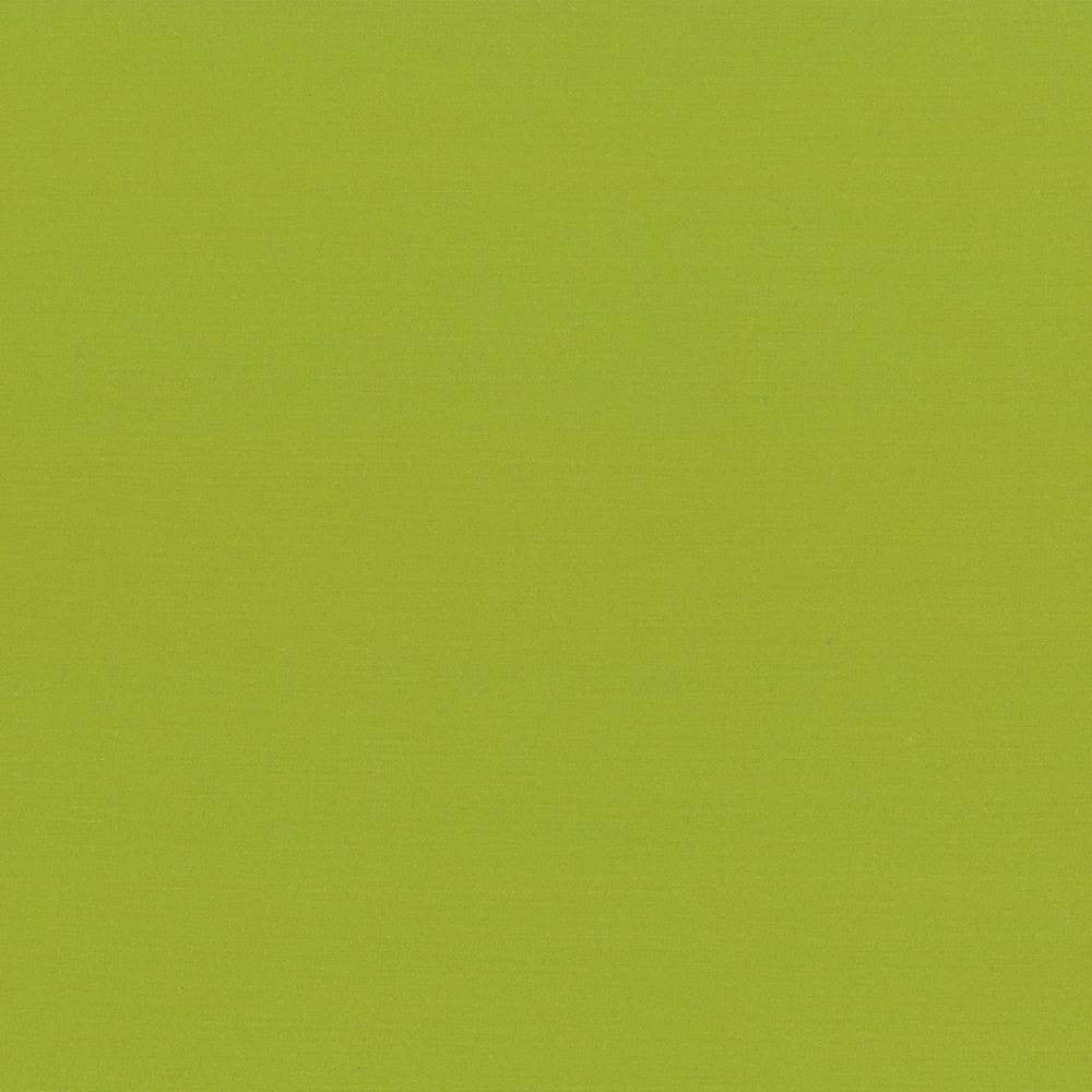 Seductive Lime by Kasmir Fabric 5052 INDIA 6,000 Wyzenbeek Double Rubs H: N/A, V:N/A 53 - Fabric Carolina - Kasmir