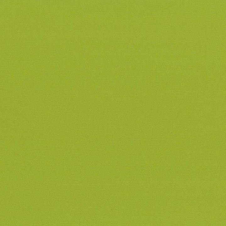 Seductive Lime by Kasmir Fabric 5052 INDIA 6,000 Wyzenbeek Double Rubs H: N/A, V:N/A 53 - Fabric Carolina - Kasmir