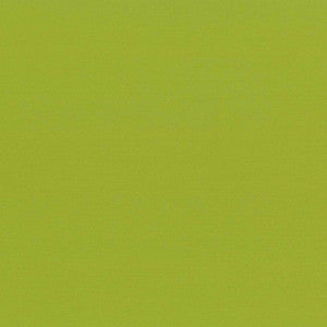 Seductive Lime by Kasmir Fabric