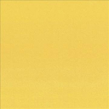 Seductive Mustard by Kasmir Fabric 5052 100% Polyester INDIA 6,000 Wyzenbeek Double Rubs H: N/A, V: N/A 53 - Fabric Carolina - Kasmir