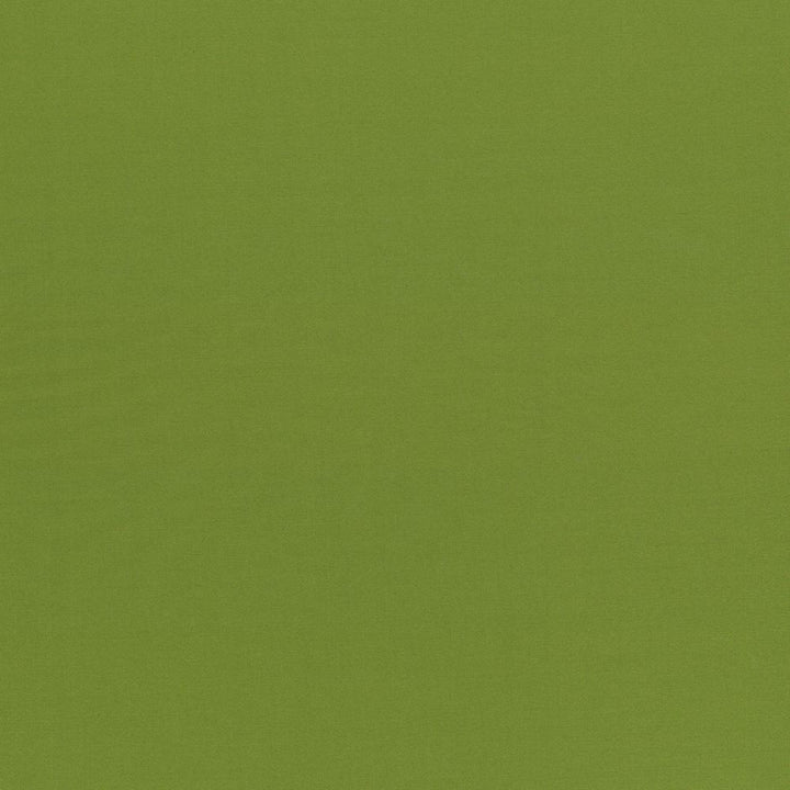 Seductive Olive by Kasmir Fabric 5052 100% Polyester
 INDIA </p><p>Repeat: Horizontal: N/A and Vertical: N/A 53 - Fabric Carolina -