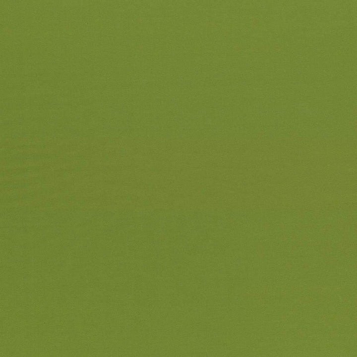 Seductive Olive by Kasmir Fabric 5052 100% Polyester
 INDIA 6,000 Wyzenbeek Double Rubs Horizontal: N/A and Vertical: N/A 53 - Fabric Carolina -