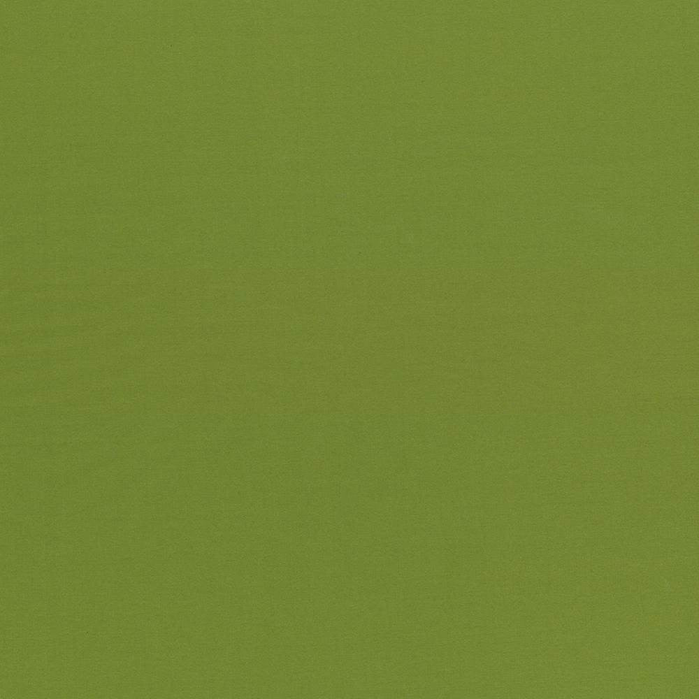 Seductive Olive by Kasmir Fabric 5052 100% Polyester
 INDIA </p><p>Repeat: Horizontal: N/A and Vertical: N/A 53 - Fabric Carolina -