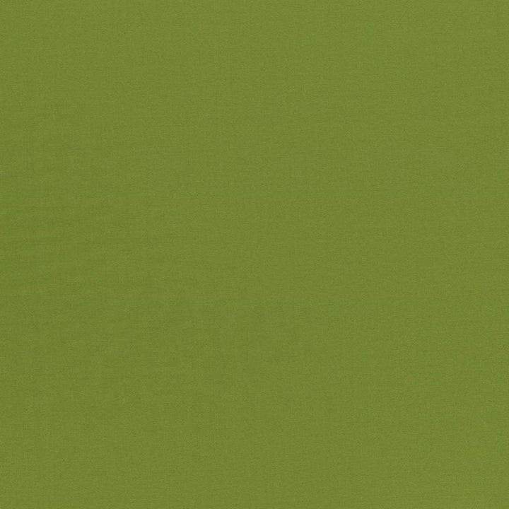 Seductive Olive by Kasmir Fabric 5052 100% Polyester
 INDIA </p><p>Repeat: Horizontal: N/A and Vertical: N/A 53 - Fabric Carolina -