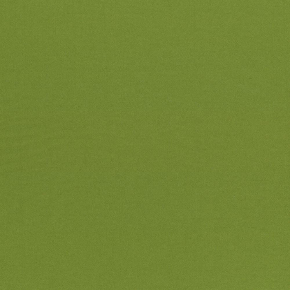 Seductive Olive by Kasmir Fabric 5052 100% Polyester
 INDIA </p><p>Repeat: Horizontal: N/A and Vertical: N/A 53 - Fabric Carolina -