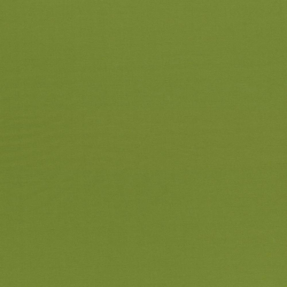 Seductive Olive by Kasmir Fabric 5052 INDIA 6,000 Wyzenbeek Double Rubs H: N/A, V:N/A 53 - Fabric Carolina - Kasmir