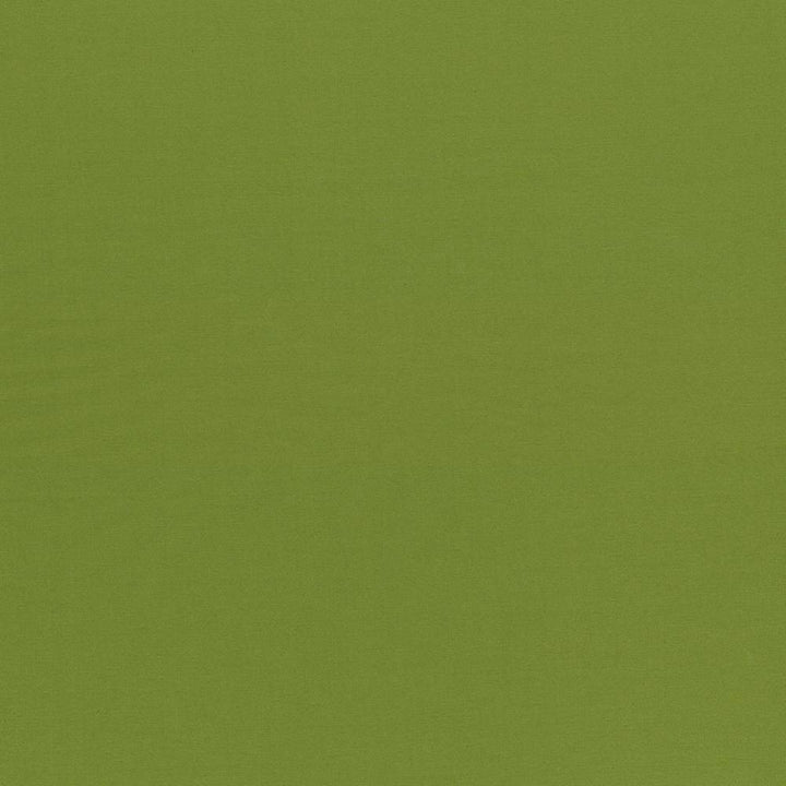 Seductive Olive by Kasmir Fabric 5052 INDIA 6,000 Wyzenbeek Double Rubs H: N/A, V:N/A 53 - Fabric Carolina - Kasmir