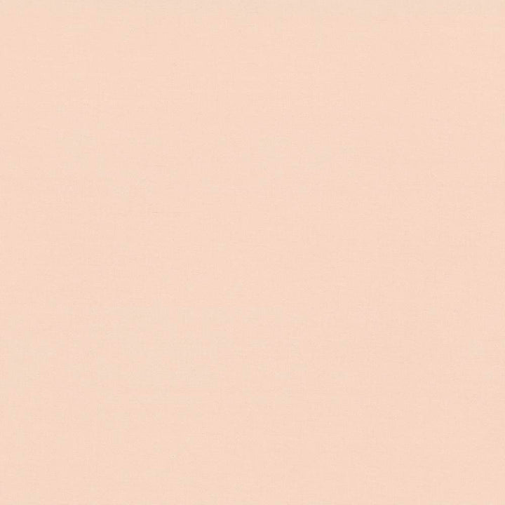 Seductive Peach by Kasmir Fabric 5052 INDIA 6,000 Wyzenbeek Double Rubs H: N/A, V:N/A 53 - Fabric Carolina - Kasmir