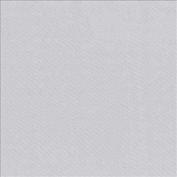 Seductive Platinum by Kasmir Fabric 5052 100% Polyester INDIA 6,000 Wyzenbeek Double Rubs H: N/A, V: N/A 53 - Fabric Carolina - Kasmir