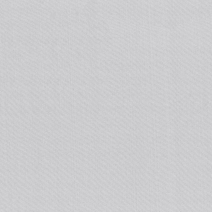 Seductive Platinum by Kasmir Fabric 5052 INDIA 6,000 Wyzenbeek Double Rubs H: N/A, V:N/A 53 - Fabric Carolina - Kasmir
