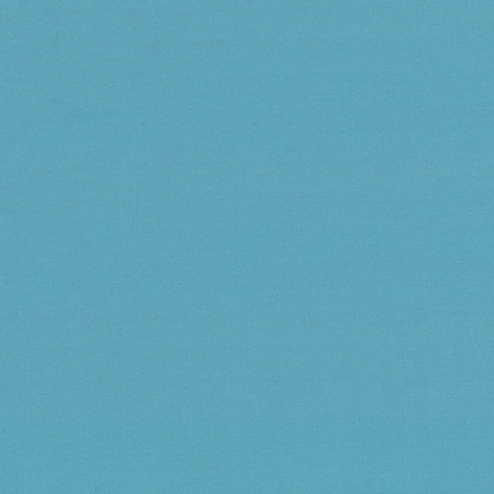 Seductive Pool  by Kasmir Fabric 5052 100% Polyester  INDIA  </p><p>Repeat: Horizontal: N/A and Vertical: N/A 53  - Fabric Carolina -