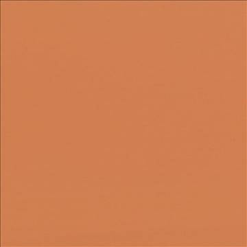 Seductive Pumpkin by Kasmir Fabric 5052 100% Polyester INDIA 6,000 Wyzenbeek Double Rubs H: N/A, V: N/A 53 - Fabric Carolina - Kasmir