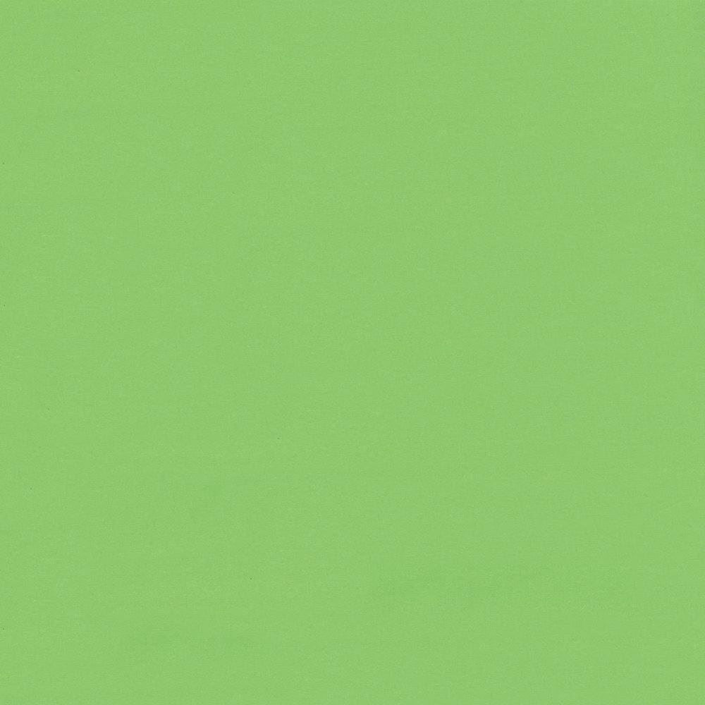 Seductive Spring by Kasmir Fabric 5052 100% Polyester INDIA 6,000 Wyzenbeek Double Rubs Horizontal: 0 Inches and Vertical: 0 Inches 53 - Fabric Carolina -