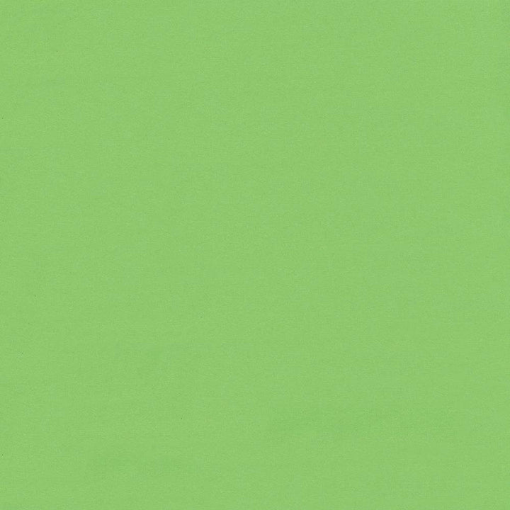 Seductive Spring by Kasmir Fabric 5052 100% Polyester
 INDIA </p><p>Repeat: Horizontal: N/A and Vertical: N/A 53 - Fabric Carolina -