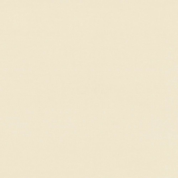 Seductive Straw by Kasmir Fabric 5052 100% Polyester
 INDIA 6,000 Wyzenbeek Double Rubs Horizontal: N/A and Vertical: N/A 53 - Fabric Carolina -