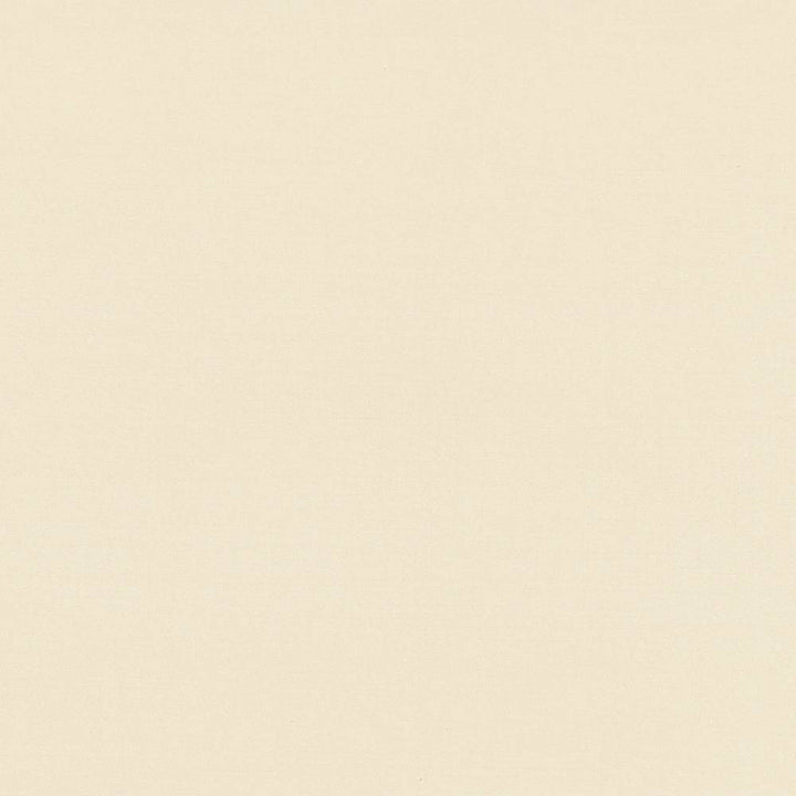 Seductive Straw by Kasmir Fabric 5052 INDIA 6,000 Wyzenbeek Double Rubs H: N/A, V:N/A 53 - Fabric Carolina - Kasmir