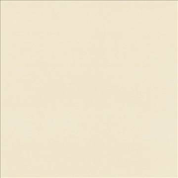 Seductive Straw by Kasmir Fabric 5052 100% Polyester INDIA 6,000 Wyzenbeek Double Rubs H: N/A, V: N/A 53 - Fabric Carolina - Kasmir