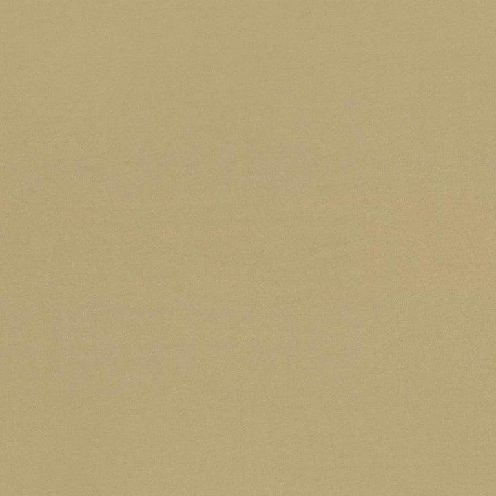 Seductive Tan by Kasmir Fabric 5052 100% Polyester
 INDIA </p><p>Repeat: Horizontal: N/A and Vertical: N/A 53 - Fabric Carolina -