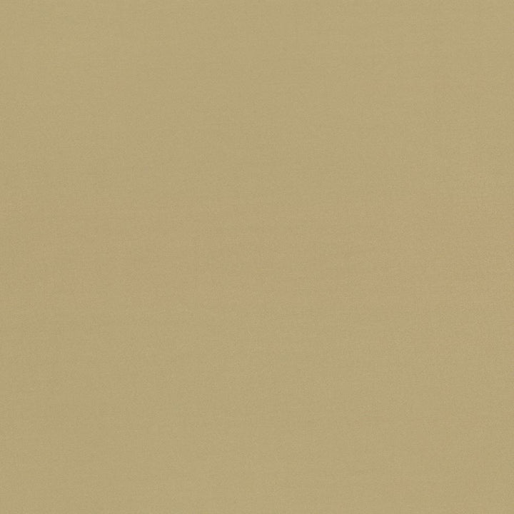 Seductive Tan by Kasmir Fabric 5052 100% Polyester
 INDIA </p><p>Repeat: Horizontal: N/A and Vertical: N/A 53 - Fabric Carolina -
