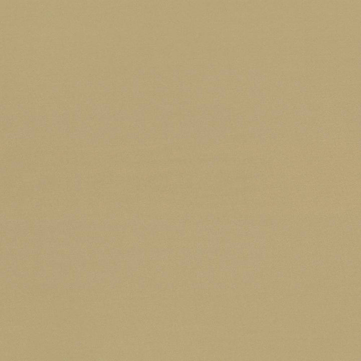 Seductive Tan by Kasmir Fabric 5052 INDIA 6,000 Wyzenbeek Double Rubs H: N/A, V:N/A 53 - Fabric Carolina - Kasmir