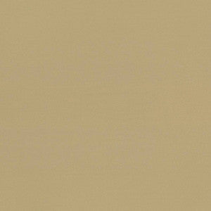 Seductive Tan by Kasmir Fabric