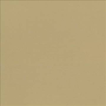 Seductive Tan by Kasmir Fabric 5052 100% Polyester INDIA 6,000 Wyzenbeek Double Rubs H: N/A, V: N/A 53 - Fabric Carolina - Kasmir
