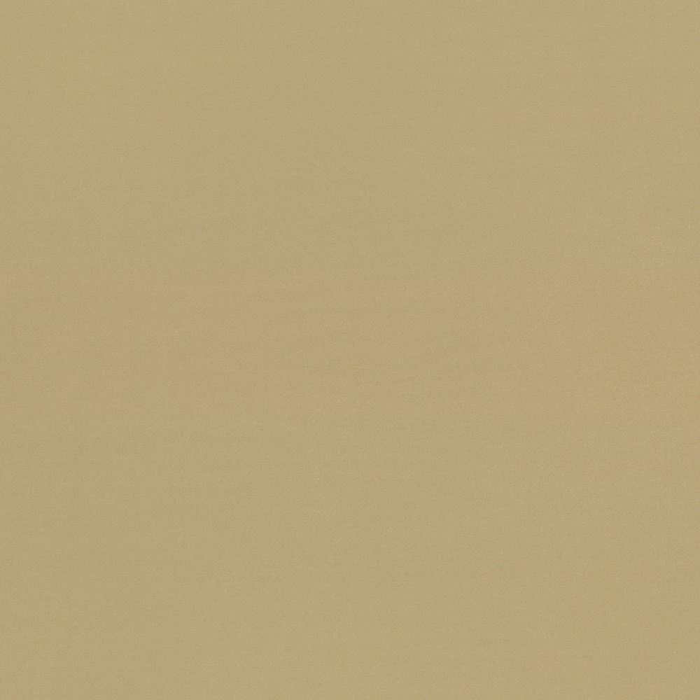 Seductive Tan by Kasmir Fabric 5052 100% Polyester
 INDIA </p><p>Repeat: Horizontal: N/A and Vertical: N/A 53 - Fabric Carolina -