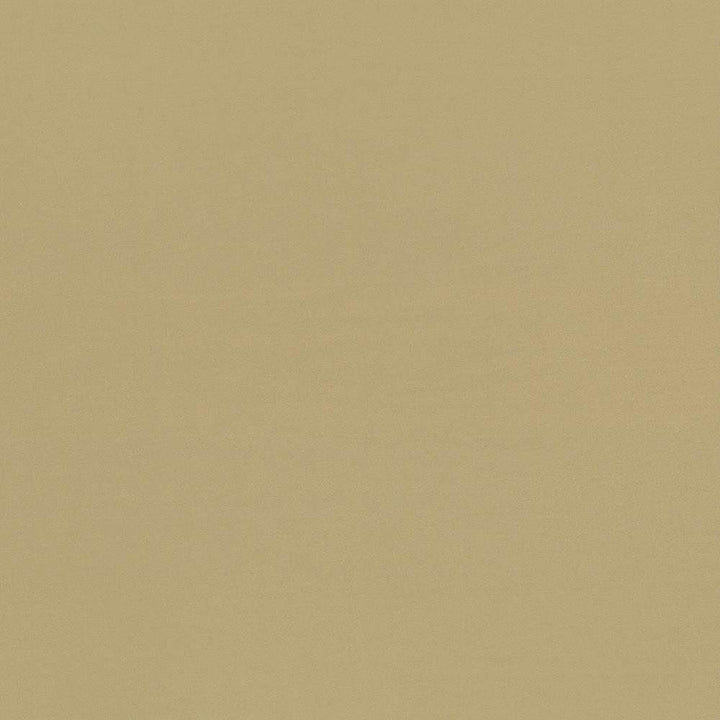 Seductive Tan  by Kasmir Fabric See sample 100% Polyester
 INDIA 6,000 Wyzenbeek Double Rubs </p><p>Repeat: Horizontal: N/A and Vertical: N/A 53  - Fabric Carolina -