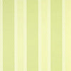 INFINITY STRIPE - Green by Thibaut Wallpaper
