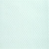 NATHANIEL - Aqua by Thibaut Wallpaper