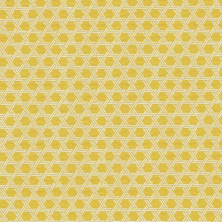 Sempre Citron by Kasmir Fabric 1423 USA 36,000 Wyzenbeek Double Rubs H: 1 1/8 inches, V:1 7/8 inches 57 - 58 - Fabric Carolina - Kasmir