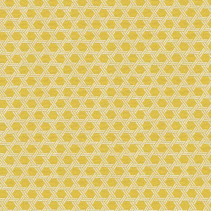 Sempre Citron by Kasmir Fabric