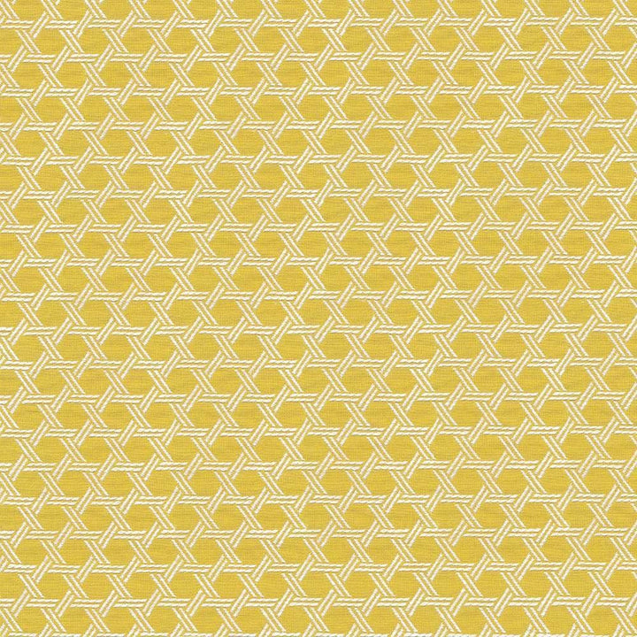Sempre Citron by Kasmir Fabric 1423 48% Rayon
28% Cotton
24% Polyester
 USA 36,000 Wyzenbeek Double Rubs </p><p>Repeat: Horizontal: 1 1/8 inches and Vertical: 1 7/8 inches 57 - Fabric Carolina -