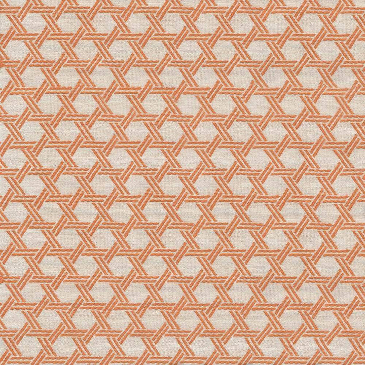 Sempre Mango by Kasmir Fabric 1423 USA 36,000 Wyzenbeek Double Rubs H: 1 1/8 inches, V:1 7/8 inches 57 - 58 - Fabric Carolina - Kasmir