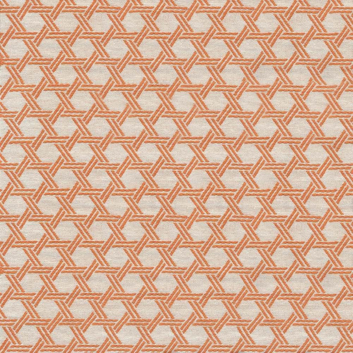 Sempre Mango by Kasmir Fabric 1423 48% Rayon
28% Cotton
24% Polyester
 USA 36,000 Wyzenbeek Double Rubs </p><p>Repeat: Horizontal: 1 1/8 inches and Vertical: 1 7/8 inches 57 - Fabric Carolina -