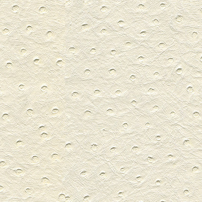Kravet Design Senna-101 by Kravet Design Fabric