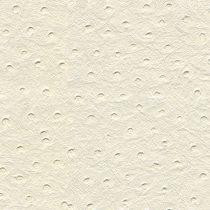 Kravet Design Senna-101 by Kravet Design Fabric