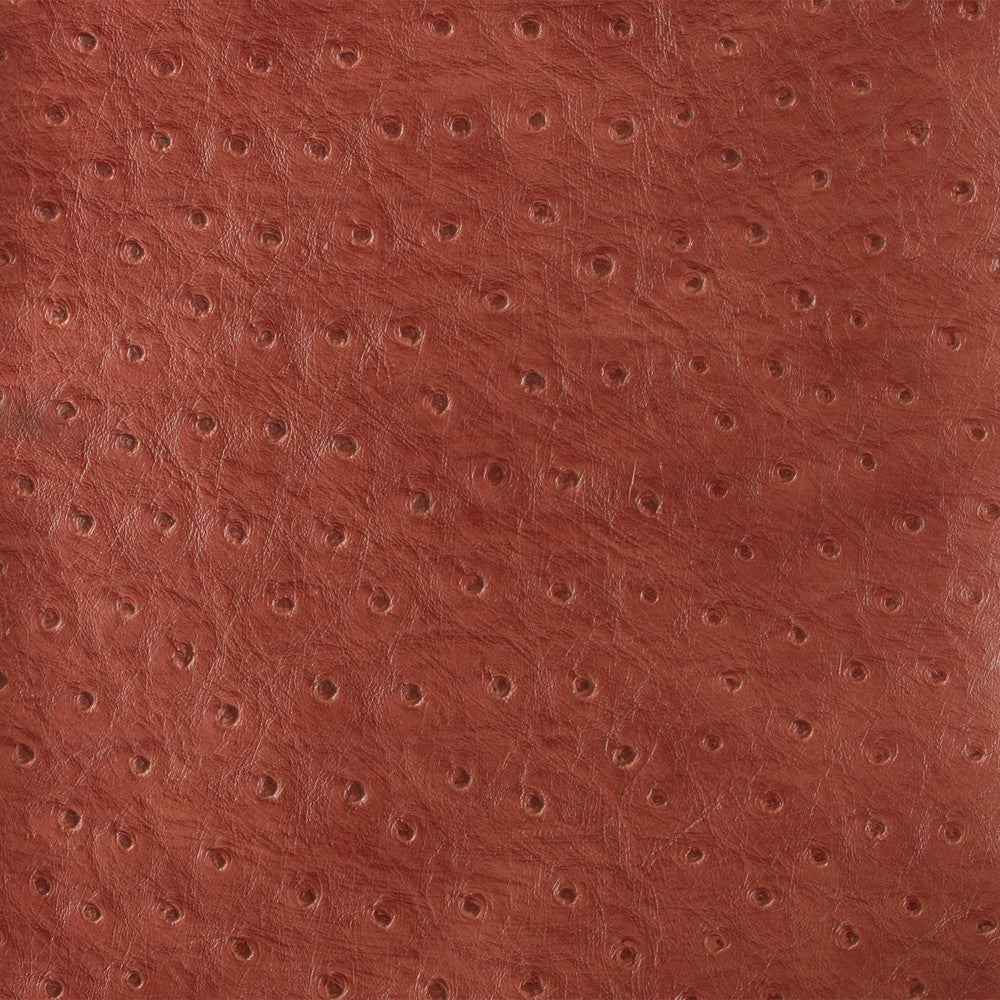 Kravet Design Senna-19 by Kravet Design Fabric