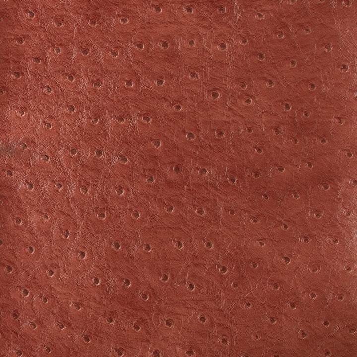 Kravet Design Senna-19 by Kravet Design Fabric