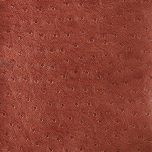 Kravet Design Senna-19 by Kravet Design Fabric
