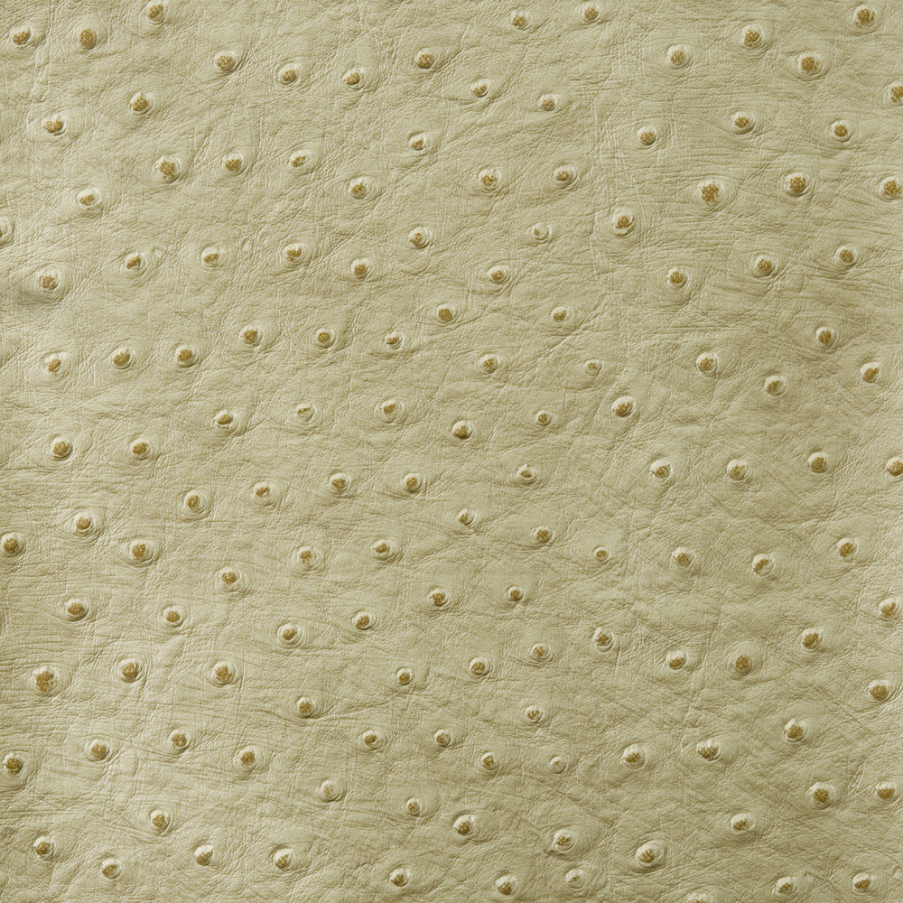 Kravet Design Senna-30 by Kravet Design Fabric