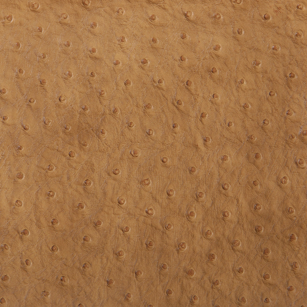 Kravet Design Senna-3 by Kravet Design Fabric