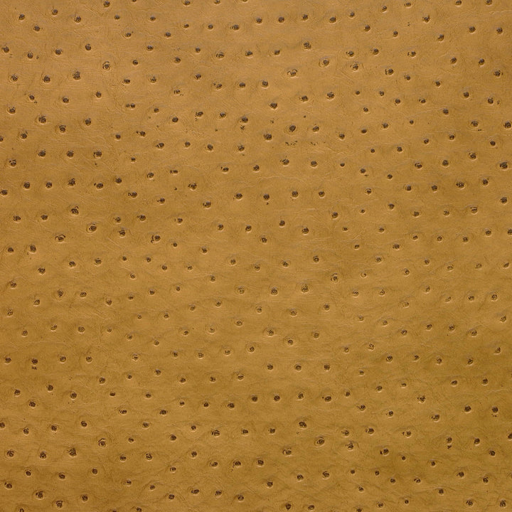 Kravet Design Senna-4 by Kravet Design Fabric