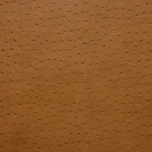 Kravet Design Senna-616 by Kravet Design Fabric
