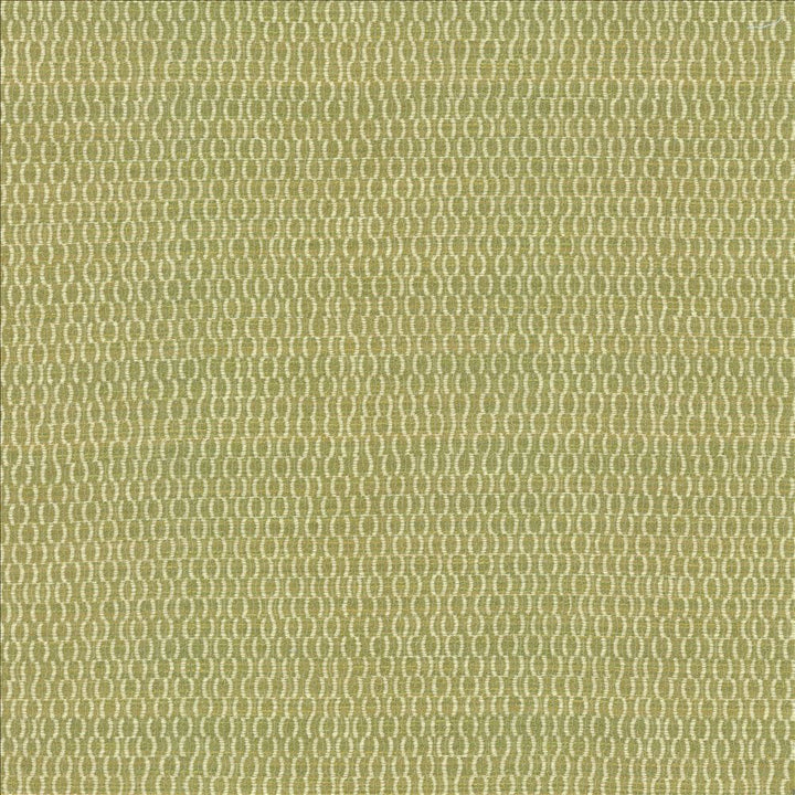 Sequence Leaf by Kasmir Fabric 5145 38% Polyester
28% Acrylic
22% Rayon
12% Recycled Cotton
 USA </p><p>Repeat: Horizontal: 6 6/8 inches and Vertical: 7 2/8 inches 54 - Fabric Carolina -
