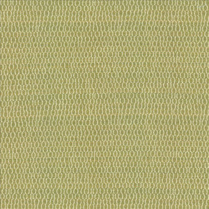 Sequence Leaf by Kasmir Fabric