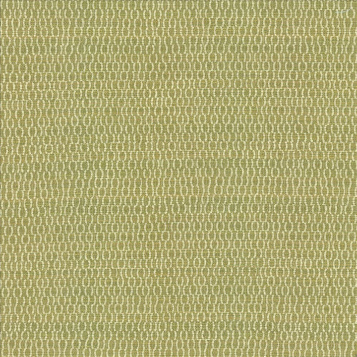 Sequence Leaf by Kasmir Fabric 5145 38% Polyester
28% Acrylic
22% Rayon
12% Recycled Cotton
 USA 30,000 Wyzenbeek Double Rubs Horizontal: 6 6/8 inches and Vertical: 7 2/8 inches 54 - Fabric Carolina -